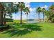 Lush waterfront lawn with palm trees and a bench at 217 Oceania Ct, Apollo Beach, FL 33572