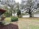 View of the backyard with mature trees and grassy area at 2200 Shelly Dr # C, Palm Harbor, FL 34684