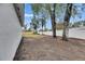 Fenced backyard with mature trees at 2901 Forestwood Dr, Seffner, FL 33584