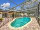 Screened-in pool and patio with safety fence at 3005 Enisglen Dr, Palm Harbor, FL 34683