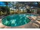 Inviting kidney-shaped pool with screened enclosure at 3147 Hyde Park Dr, Clearwater, FL 33761