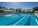 Community lap pool with lanes and flags at 3147 Hyde Park Dr, Clearwater, FL 33761