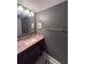 Bathroom with granite countertop vanity and dark gray walls at 3325 Bayshore Blvd # B21, Tampa, FL 33629