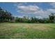 Large grassy open space area for recreation at 10415 Butterfly Wing Ct, Riverview, FL 33578