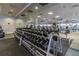 Fitness center with a full set of dumbbells at 16213 Diamond Bay Dr, Wimauma, FL 33598