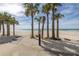 Wooden walkway to beach with palm trees and white sand at 1660 Gulf Blvd # 304, Clearwater Beach, FL 33767