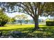 Expansive lawn, mature trees, and a pond with fountain create a serene community landscape at 1900 59Th N Ave # 212, St Petersburg, FL 33714