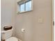 Small bathroom with toilet and single sink at 2512 Centennial Falcon Dr, Valrico, FL 33596