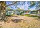 Charming ranch home with large tree and front yard at 3709 W Oklahoma Ave, Tampa, FL 33611