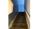 Carpeted staircase leading to the second floor at 3830 Stornoway Dr, Land O Lakes, FL 34638