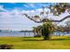 Peaceful waterfront view with palm trees and water at 5027 Sunrise S Dr, St Petersburg, FL 33705