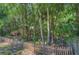 Wooded area behind a fence, featuring various trees and plants at 5103 Ashcrest Ct, Tampa, FL 33647