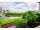 Tranquil pond view from the patio, surrounded by lush landscaping at 102 Mariner Dr, Tarpon Springs, FL 34689