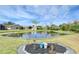 Serene pond view with landscaping and decorative elements at 11511 Lounds Ct, New Port Richey, FL 34654