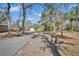 Long private driveway leading to a charming house nestled among mature trees at 11624 Monette Rd, Riverview, FL 33569