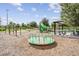 Large playground with swings, slides, and play structures at 12292 Lyon Pine Ln, Odessa, FL 33556