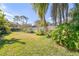 Landscaped backyard with lush tropical plants and wooden fence at 14031 Shady Shores Dr, Tampa, FL 33613