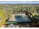 Aerial view of two tennis courts at 14031 Shady Shores Dr, Tampa, FL 33613