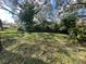 Overgrown backyard with mature trees and a chain link fence at 14810 N 30Th St, Lutz, FL 33559