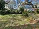 Large backyard with overgrown vegetation and a chain link fence at 14810 N 30Th St, Lutz, FL 33559