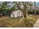 White shed in a sunny backyard at 1512 Big Bass Dr, Tarpon Springs, FL 34689