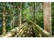 Boardwalk winding through a wooded area at 1512 Big Bass Dr, Tarpon Springs, FL 34689