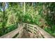 Wooden boardwalk path through lush green foliage at 1512 Big Bass Dr, Tarpon Springs, FL 34689