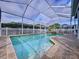 Sparkling pool and spa enclosed by a screen, perfect for outdoor enjoyment at 1632 Gray Bark Dr, Oldsmar, FL 34677