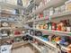 Well-stocked pantry with ample shelving for storage at 17120 Boy Scout Rd, Odessa, FL 33556