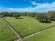 Large green pasture with horse at 17120 Boy Scout Rd, Odessa, FL 33556