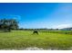 Horse in a lush green pasture at 17120 Boy Scout Rd, Odessa, FL 33556