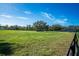 Serene pasture with horses grazing near a large oak tree at 17120 Boy Scout Rd, Odessa, FL 33556