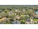 Aerial shot of homes surrounded by mature trees and beautiful landscape at 1803 Tawnee Pl, Brandon, FL 33510