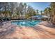 Community pool with lounge chairs and tables at 18209 Tivoli Ln, Lutz, FL 33558