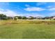 View of grassy area with distant homes and pond at 19231 Pepper Grass Dr, Tampa, FL 33647