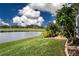 Landscaped backyard with pond, dock, and lush greenery at 1937 Sterling Glen Ct, Sun City Center, FL 33573