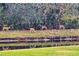 Seven deer grazing near a calm canal at 3870 155Th E Ave, Parrish, FL 34219