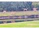 Five deer by a canal; view from property at 3870 155Th E Ave, Parrish, FL 34219