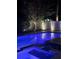 Night view of a backyard pool and spa with blue lighting at 4224 W Kensington Ave, Tampa, FL 33629