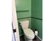 Standard toilet with a shelf in the green-painted bathroom at 7806 Amberlea Ct, Temple Terrace, FL 33637