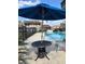 Community pool with seating and table covered by a large blue sun umbrella at 7806 Amberlea Ct, Temple Terrace, FL 33637