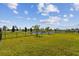 Backyard with grassy area and pond view at 12143 Kingsley Trl, Parrish, FL 34219