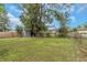 Spacious backyard featuring a large tree and shed at 206 N Himes Ave, Tampa, FL 33609