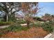 Landscaped walkway leading to charming home at 546 Orangewood Dr, Dunedin, FL 34698