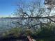 Peaceful lake view from the property, offering a serene setting at 8512 Fantasia Park Way, Riverview, FL 33578