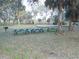 Park picnic area with tables at 214 Elmwood Cir # 214, Seminole, FL 33777