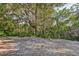 Spacious backyard with lush vegetation and large shade tree at 3028 Summervale Dr, Holiday, FL 34691