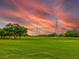 Scenic golf course view at sunset, lush greens under a colorful sky at 10 Aster Pl, Oldsmar, FL 34677