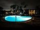Inviting kidney-shaped pool lit at night, surrounded by palm trees at 1001 S Bayshore Blvd # 205, Safety Harbor, FL 34695