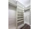 Large walk-in closet with ample shelving and hanging space at 16122 Cedar Key Dr, Wimauma, FL 33598